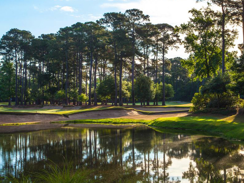 Willow Lodge Golf 010