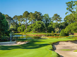 Willow Lodge Golf 011