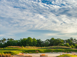 Willow Lodge Golf 03