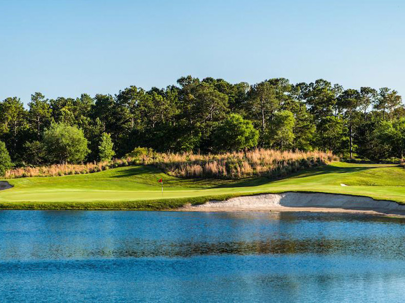 Willow Lodge Golf 07